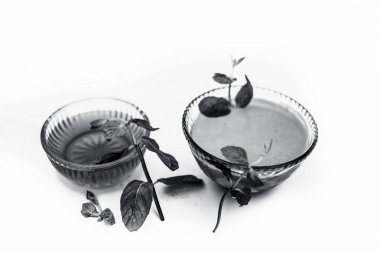 Ham bal ve bazı nane yaprakları taze nane veya mentha yaprakları beyaz izole ile birlikte bir cam kase içinde salça yakın.