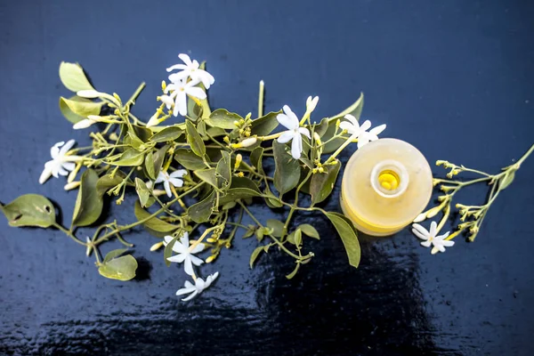 Nahaufnahme Von Ätherischem Der Indischen Jasminblüte Oder Juhi Oder Jasminum — Stockfoto