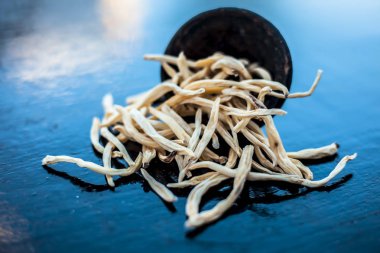 Popüler Hint & Asya ayurveda organik bitki musli Safed Moosli/ Shaqaqule/ Dholi Musli/ Khiruva/ Shedheveli/ Swetha Musli/ Taniravi Thang/ ahşap yüzey üzerinde kil bir kapta.
