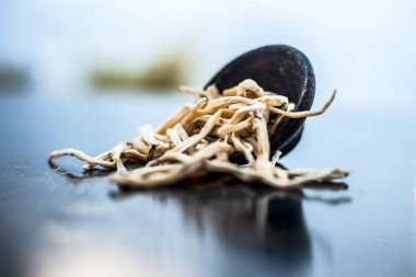 Popüler Hint & Asya ayurveda organik bitki musli Safed Moosli/ Shaqaqule/ Dholi Musli/ Khiruva/ Shedheveli/ Swetha Musli/ Taniravi Thang/ ahşap yüzey üzerinde kil bir kapta.