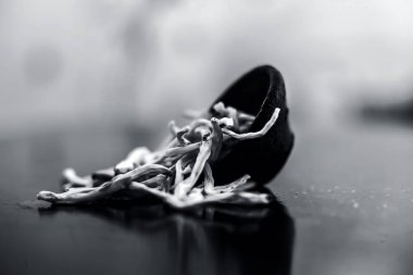 Popüler Hint & Asya ayurveda organik bitki musli Safed Moosli/ Shaqaqule/ Dholi Musli/ Khiruva/ Shedheveli/ Swetha Musli/ Taniravi Thang/ ahşap yüzey üzerinde kil bir kapta.