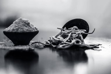 Popüler Hint & Asya ayurveda organik bitki musli Safed Moosli/ Shaqaqule/ Dholi Musli/ Khiruva/ Shedheveli/ Swetha Musli/ Taniravi Thang/ tozlu ahşap yüzeyüzerinde kil bir kapta.