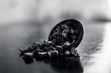 Popüler Hint & Asya ayurveda organik bitki musli veya Chlorophytum borivilianum veya Curculigo orkioidler veya kali moosli ahşap yüzey üzerinde bir kil.