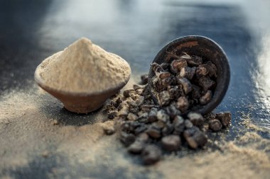 Popüler Hint & Asya ayurveda organik bitki musli veya Chlorophytum borivilianum veya Curculigo orkioidler veya kali moosli ahşap yüzeyüzerinde başka bir kase içinde toz ile bir kil içinde.