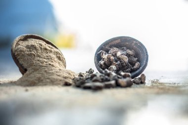 Popüler Hint & Asya ayurveda organik bitki musli veya Chlorophytum borivilianum veya Curculigo orkioidler veya kali moosli ahşap yüzeyüzerinde başka bir kase içinde toz ile bir kil içinde.