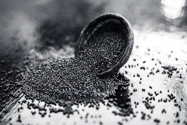 Ham organik bitkisel baharat Hardal tohumu veya sarso veya rai veya Brassica nigra, ahşap yüzeyüzerinde bir kil kase içinde.