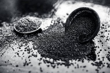 Ham organik bitkisel baharat Hardal tohumu veya sarso veya rai veya Brassica nigra, ahşap yüzeyüzerinde başka bir kase tozu ile birlikte bir kil kase içinde.