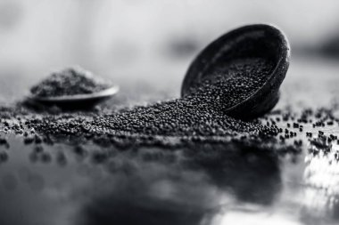 Ham organik bitkisel baharat Hardal tohumu veya sarso veya rai veya Brassica nigra, ahşap yüzeyüzerinde başka bir kase tozu ile birlikte bir kil kase içinde.