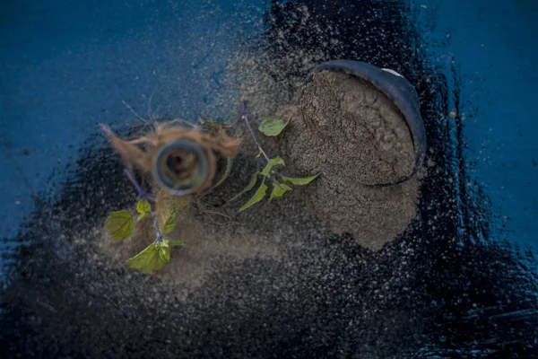 Óleo Erva Ayurvédica Brahmi Waterhyssop Uma Pequena Garrafa Vidro Transparente — Fotografia de Stock