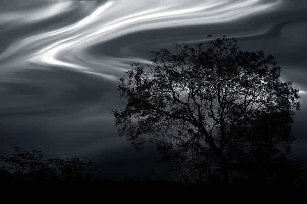 Pôr Sol Tiro Madrugada Tiro Tempo Árvores Estradas Intermináveis — Fotografia de Stock