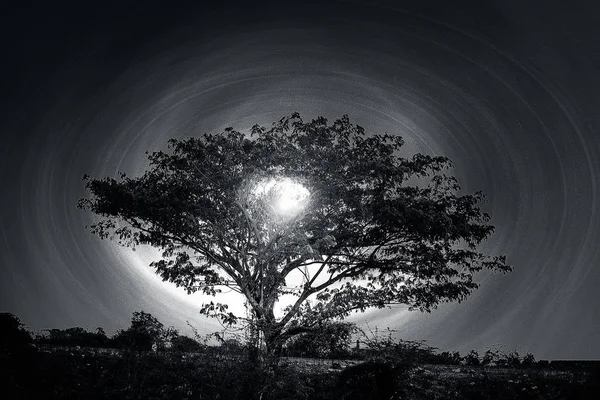 Čas Východu Slunce Nebo Ranní Záběr Stromů Nekonečné Cesty — Stock fotografie