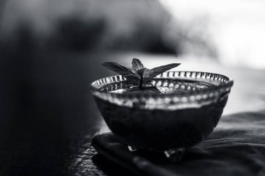 Ilımlı sabja tohumları veya falooda tohumları veya tatlı fesleğen tohumları ahşap yüzeyüzerinde kahverengi renkli peçete üzerinde cam bir kase içinde bazı nane yaprakları ile kapatın. Birçok aromalı içecekte kullanılır.