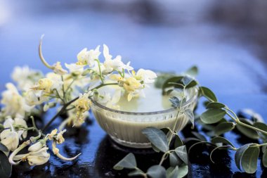 Ayurevidik Macun Moringa concanensis Nimmo da Kadvo Saragvo olarak bilinen yapılmış, Konkan Moringa ahşap yüzey üzerinde cam bir kase içinde.