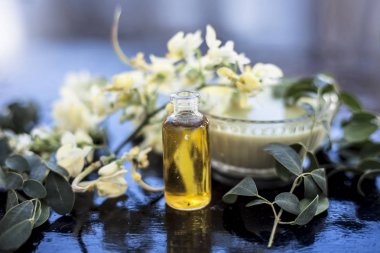 Bitkisel ve çiçek özü veya konsantrasyon Moringa concanensis Nimmo da Kadvo Saragvo olarak bilinen yapılmış, Konkan Moringa ahşap yüzey üzerinde cam şişe.