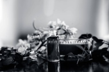 Bitkisel ve çiçek özü veya konsantrasyon Moringa concanensis Nimmo da Kadvo Saragvo olarak bilinen yapılmış, Konkan Moringa ahşap yüzey üzerinde cam şişe.