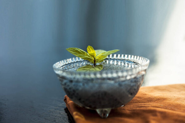 Close up of soaked sabja seeds or falooda seeds or sweet basil seeds in a glass bowl on brown colored napkin on wooden surface with some mint leaves in it.Used in many flavored beverages.