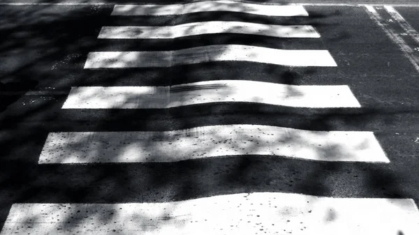 Extreme Close Shot Van Kruis Wandelingen Zebra Oversteek Wegen — Stockfoto