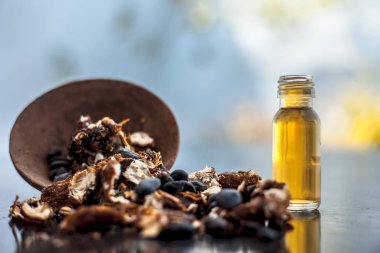 Kavrulmuş tohumları ile birlikte kil bir kapta demirhindi veya imli veya amli ve siyah renkli ahşap yüzey üzerinde bir cam şişe esansiyel yağ veya konsantrasyon veya özü ayıklayın.