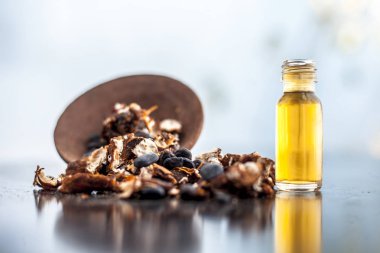 Kavrulmuş tohumları ile birlikte kil bir kapta demirhindi veya imli veya amli ve siyah renkli ahşap yüzey üzerinde bir cam şişe esansiyel yağ veya konsantrasyon veya özü ayıklayın.