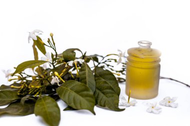 Ham çiçekleri ile küçük bir şeffaf cam şişe beyaz izole Hint yasemin çiçek veya juhi veya Jasminum Auriculatum uçucu yağ yakın.