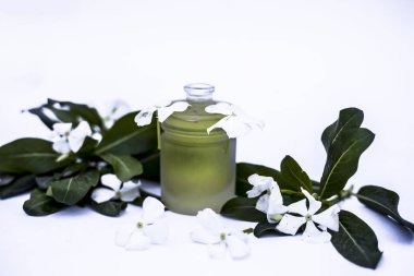 Beyaz renkli çiçeklerin yanı sıra yapraklar ve beyaza izole edilmiş cam bir şişedeki bitkisel detoksifikasyon yağı..