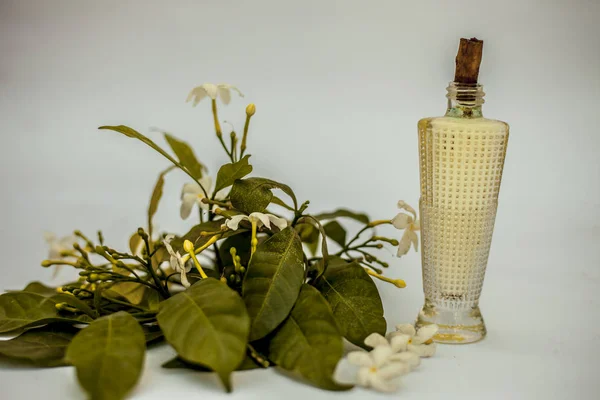 Close Spray Perfume Indian Jasmine Flower Juhi Jasminum Auriculatum Isolated — Stock Photo, Image