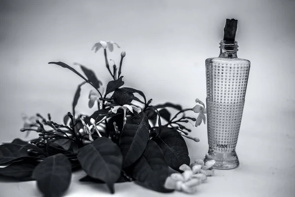 Zbliżenie Sprayu Lub Perfum Indyjskiego Kwiatu Jaśminu Lub Juhi Lub — Zdjęcie stockowe