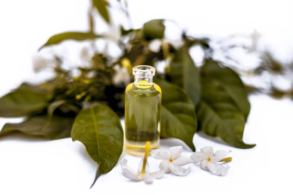 Nahaufnahme Von Essenz Oder Ätherischem Der Indischen Jasminblüte Oder Juhi — Stockfoto