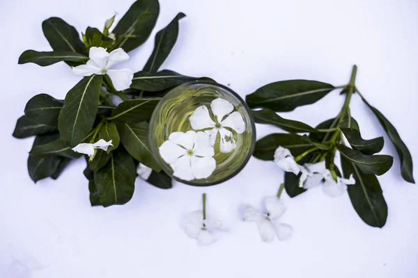 Weiße Blüten Mit Seiner Extrahierten Einem Transparenten Glas Isoliert Auf — Stockfoto