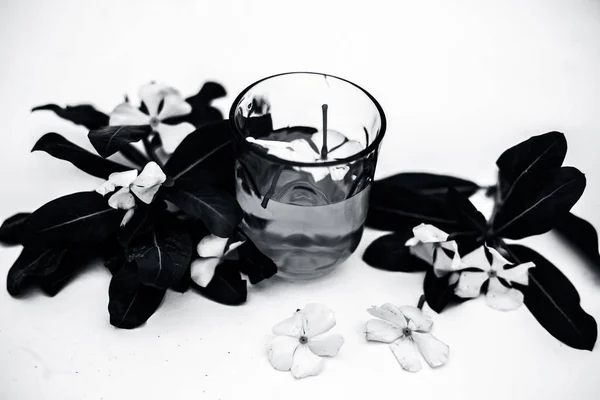 Flores Color Blanco Con Extraído Vidrio Transparente Aislado Blanco Junto — Foto de Stock