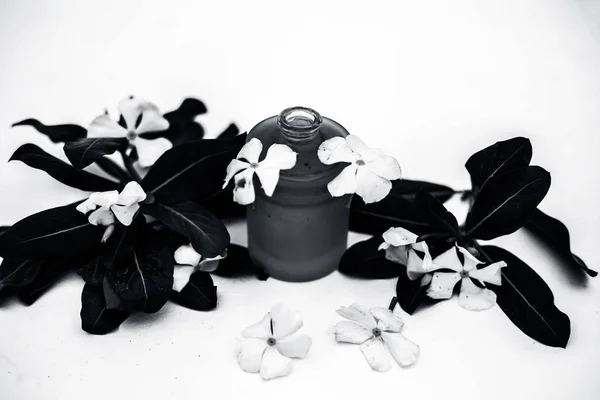 Białe Kolorowe Kwiaty Wraz Liśćmi Olejkiem Odtruwającym Niezbędne Ziołowe Szklanej — Zdjęcie stockowe