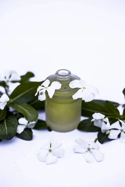White Colored Flowers Leaves Essential Herbal Detoxifying Oil Glass Bottle — Stock Photo, Image
