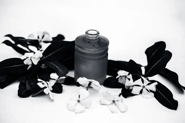 Bílé Barevné Květy Spolu Listy Esenciální Bylinný Detoxikační Olej Skleněné — Stock fotografie