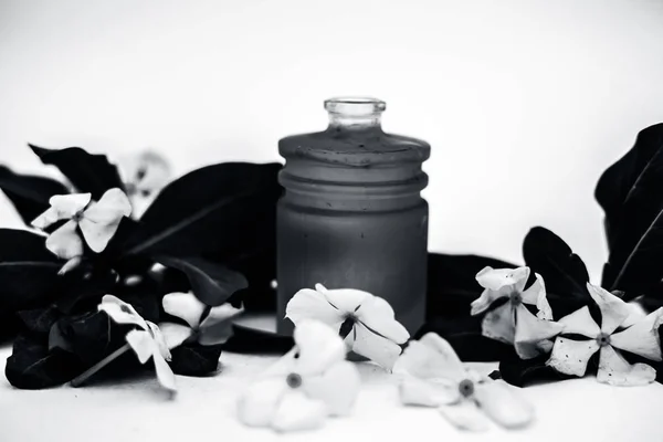 Fehér Színű Virágok Levelekkel Alapvető Növényi Méregtelenítő Olajjal Együtt Fehér — Stock Fotó