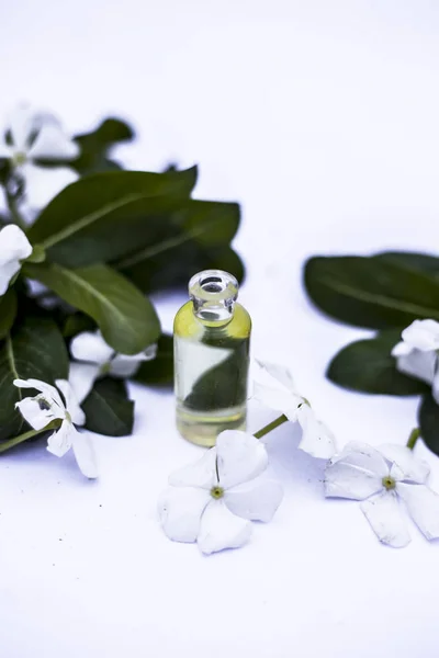 White Colored Flowers Leaves Essential Organic Essence Small Transparent Glass — 스톡 사진