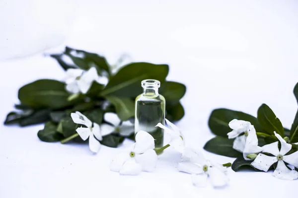 Bílé Barevné Květy Spolu Listy Základní Organické Esence Malé Průhledné — Stock fotografie
