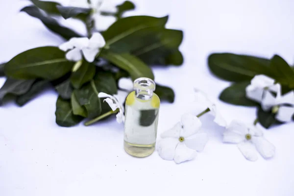 Białe Kolorowe Kwiaty Wraz Liśćmi Esencją Organiczną Małej Przezroczystej Szklanej — Zdjęcie stockowe