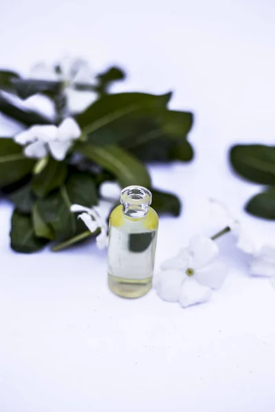 White Colored Flowers Leaves Essential Organic Essence Small Transparent Glass — 스톡 사진