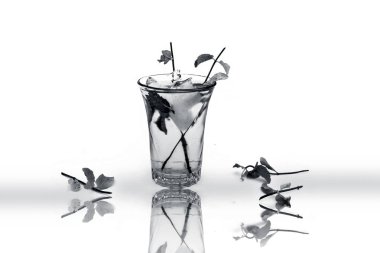 Popüler Asya ve Avrupa içki de yansıması ile beyaz yani Jack Julep izole.