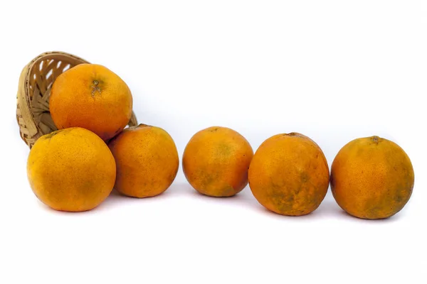 白を基調とした柑橘系の新鮮な果実 — ストック写真