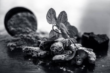 Ham organik menteşe veya şeytan Gübresi ahşap yüzey ve bazı nane yaprakları ile birlikte bir kil kase dev rezene tozu bazı kurutulmuş zencefil ile birlikte, görünümü veya çekim kadar kapatın.