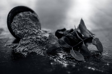 Ham organik menting veya şeytan gübresi veya Asafoetida siyah renkli kil kase ve bazı nane yaprakları veya mentha yaprakları onun tozu ile birlikte ahşap yüzeyüzerinde.