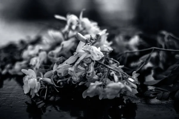 Herbe Ayurvédique Fleurs Pilon Avec Quelques Feuilles Sur Surface Bois — Photo