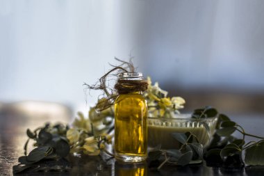 Küçük şeffaf cam şişede çıkarılan temel konsantrasyonu veya özü ile birlikte ahşap yüzeyüzerinde baget demet.