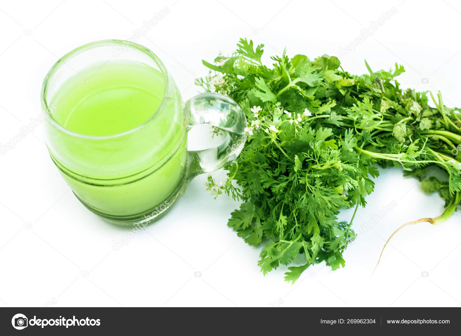 Fresh Parsley Juice Coriander Juice Transparent Glass Isolated White Fresh Stock Photo Image By C Mirzamlk Fresh Parsley Juice Coriander Juice Transparent Glass Isolated White Fresh Stock Photo Image By C Mirzamlk
