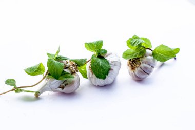 Bazı nane yaprakları ile birlikte beyaz izole Çiğ sarımsak soğanları.