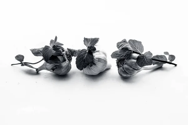 Surové Česnekové Cibule Izolované Bílém Spolu Mincovní Lístky — Stock fotografie