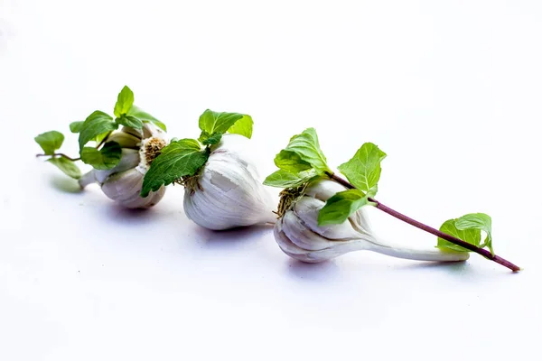Bazı Nane Yaprakları Ile Birlikte Beyaz Izole Çiğ Sarımsak Soğanları — Stok fotoğraf