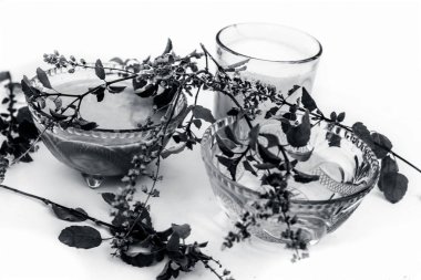 Beyaz yani yulaf ezmesi izole tulsi yüz paketi veya yüz maskesi iyi tans veya güneş yanıkları için kullanılan süt ve su ile tulsi veya kutsal fesleğen ile karıştırılır.