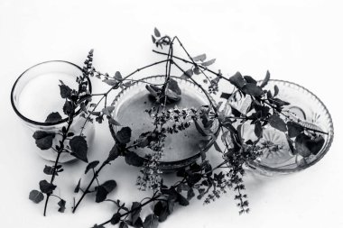 Beyaz yani yulaf ezmesi izole tulsi yüz paketi veya yüz maskesi iyi tans veya güneş yanıkları için kullanılan süt ve su ile tulsi veya kutsal fesleğen ile karıştırılır.